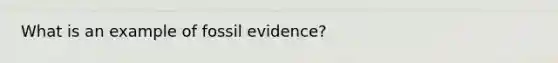 What is an example of fossil evidence?