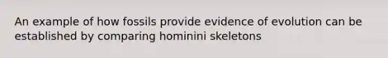 An example of how fossils provide evidence of evolution can be established by comparing hominini skeletons