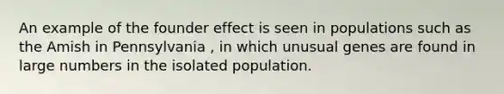 An example of the founder effect is seen in populations such as the Amish in Pennsylvania , in which unusual genes are found in large numbers in the isolated population.