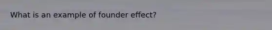 What is an example of founder effect?