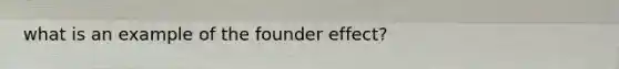 what is an example of the founder effect?