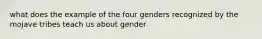 what does the example of the four genders recognized by the mojave tribes teach us about gender