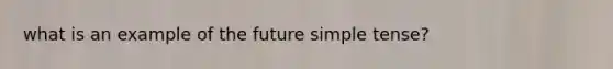 what is an example of the future simple tense?