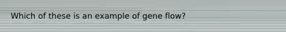 Which of these is an example of gene flow?