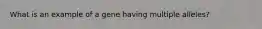 What is an example of a gene having multiple alleles?