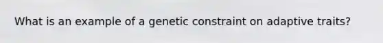 What is an example of a genetic constraint on adaptive traits?