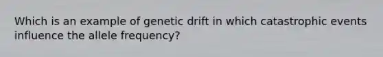 Which is an example of genetic drift in which catastrophic events influence the allele frequency?