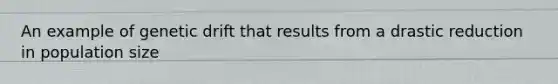 An example of genetic drift that results from a drastic reduction in population size