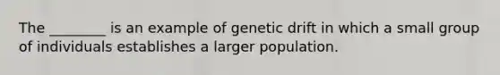 The ________ is an example of genetic drift in which a small group of individuals establishes a larger population.