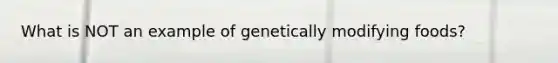 What is NOT an example of genetically modifying foods?