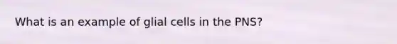 What is an example of glial cells in the PNS?