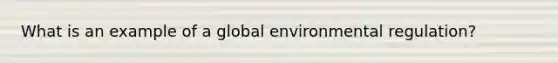 What is an example of a global environmental regulation?