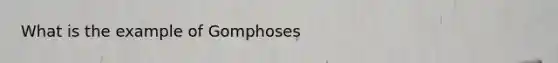 What is the example of Gomphoses