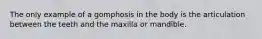 The only example of a gomphosis in the body is the articulation between the teeth and the maxilla or mandible.