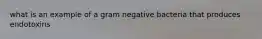 what is an example of a gram negative bacteria that produces endotoxins