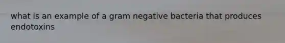 what is an example of a gram negative bacteria that produces endotoxins