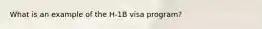 What is an example of the H-1B visa program?