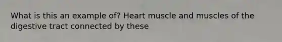 What is this an example of? Heart muscle and muscles of the digestive tract connected by these