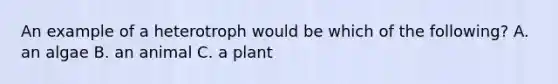 An example of a heterotroph would be which of the following? A. an algae B. an animal C. a plant