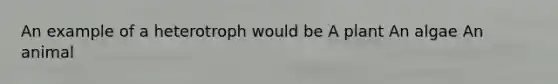 An example of a heterotroph would be A plant An algae An animal
