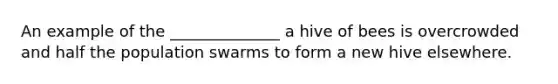 An example of the ______________ a hive of bees is overcrowded and half the population swarms to form a new hive elsewhere.