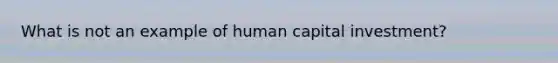 What is not an example of human capital investment?