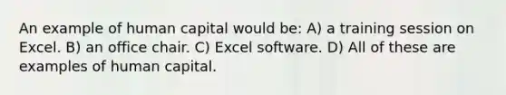 An example of human capital would be: A) a training session on Excel. B) an office chair. C) Excel software. D) All of these are examples of human capital.