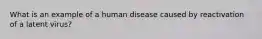 What is an example of a human disease caused by reactivation of a latent virus?