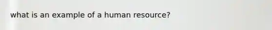 what is an example of a human resource?