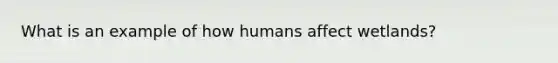 What is an example of how humans affect wetlands?