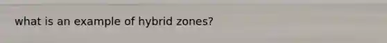 what is an example of hybrid zones?