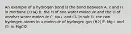 An example of a hydrogen bond is the bond between A. c and H in methane (CH4) B. the H of one water molecule and the O of another water molecule C. Na+ and Cl- in salt D. the two hydrogen atoms in a molecule of hydrogen gas (H2) E. Mg+ and Cl- in MgCl2