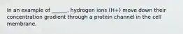 In an example of ______, hydrogen ions (H+) move down their concentration gradient through a protein channel in the cell membrane.