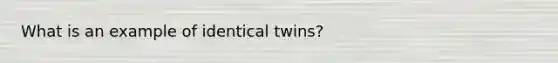 What is an example of identical twins?