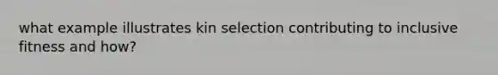 what example illustrates kin selection contributing to inclusive fitness and how?