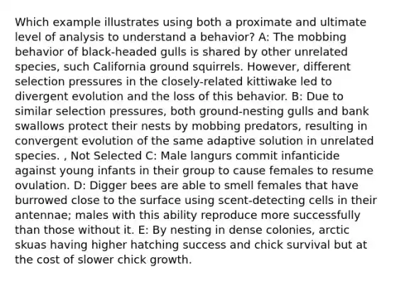 Which example illustrates using both a proximate and ultimate level of analysis to understand a behavior? A: The mobbing behavior of black-headed gulls is shared by other unrelated species, such California ground squirrels. However, different selection pressures in the closely-related kittiwake led to divergent evolution and the loss of this behavior. B: Due to similar selection pressures, both ground-nesting gulls and bank swallows protect their nests by mobbing predators, resulting in convergent evolution of the same adaptive solution in unrelated species. , Not Selected C: Male langurs commit infanticide against young infants in their group to cause females to resume ovulation. D: Digger bees are able to smell females that have burrowed close to the surface using scent-detecting cells in their antennae; males with this ability reproduce more successfully than those without it. E: By nesting in dense colonies, arctic skuas having higher hatching success and chick survival but at the cost of slower chick growth.