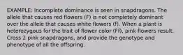 EXAMPLE: Incomplete dominance is seen in snapdragons. The allele that causes red flowers (F) is not completely dominant over the allele that causes white flowers (f). When a plant is heterozygous for the trait of flower color (Ff), pink flowers result. Cross 2 pink snapdragons, and provide the genotype and phenotype of all the offspring.