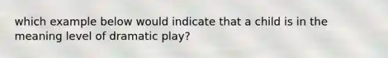 which example below would indicate that a child is in the meaning level of dramatic play?