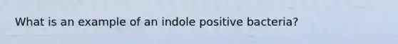 What is an example of an indole positive bacteria?