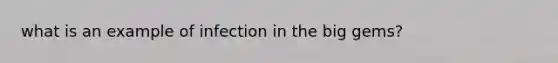 what is an example of infection in the big gems?