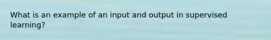 What is an example of an input and output in supervised learning?