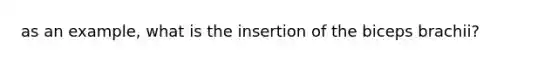 as an example, what is the insertion of the biceps brachii?