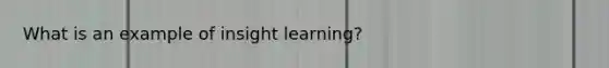 What is an example of insight learning?