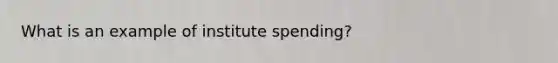 What is an example of institute spending?