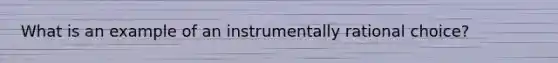 What is an example of an instrumentally rational choice?