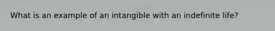 What is an example of an intangible with an indefinite life?