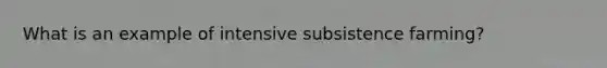 What is an example of intensive subsistence farming?