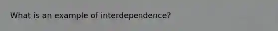 What is an example of interdependence?