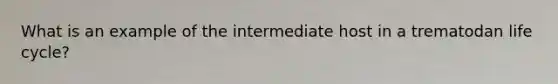 What is an example of the intermediate host in a trematodan life cycle?