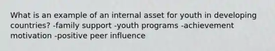 What is an example of an internal asset for youth in developing countries? -family support -youth programs -achievement motivation -positive peer influence